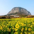 사회복지법인인효원제주복지요양병원 이미지