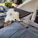 양주감악산캠핑장 이미지