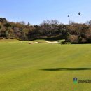 중문GC | 제주 테디밸리cc 예약 잔디 최고좋은 제주도 골프장 후기