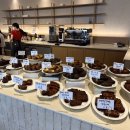 데일리레코드(daily record) 이미지