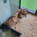 새말안길 이미지