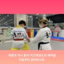 키즈석사태권도장 이미지