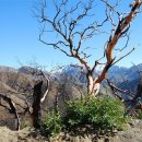 엔젤레스 이미지