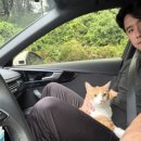 골프존파크매촌나이스스크린 이미지