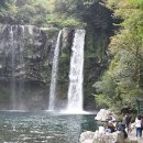 흑돼지 한마리 이미지