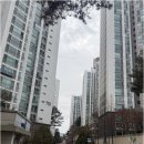 춘천상가전문공인중개사사무소 이미지