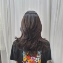 젤리아 뷰티 | 반월당 미용실 셀프레이어드컷 망하고 젤리아미용실 방문한 후기 중단발허쉬컷 허쉬펌으로 깔끔하게...