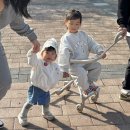 지지지 - 경산시 청운1로 60 | 지지지