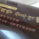 끌림견과