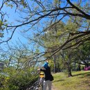 아이엔드그라운드 이미지