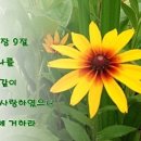 순복음중동교회 이미지