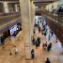 세종문화회관 '누구나 클래식', 천원의 행복 그 이상! 이미지