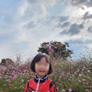 코스모스 어린이집 이미지