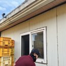 해남종합병원 | 해남방범창