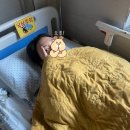 성애의료재단 | 만 스물아홉 어른의 난소 물혹 제거 복강경 수술 기록 (with대방 성애병원)