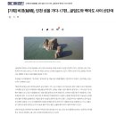 까치민박 | 굴업도 백패킹, 까치형제회 멤버랑 동행_2025.07.12(토)~13(일)