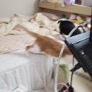 그루밍루나 | 지겹게도 방황의 연속, 그리고 2026