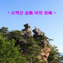 금계로1 Daum카페