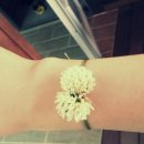 밀양아리랑펜션 이미지