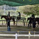 삼향북초등학교 이미지