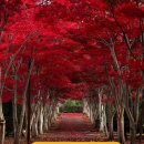 정리수납전문가(자격증반) 이미지