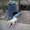 도곡리 석조여래좌상(道谷里 石造如來坐像) 이미지