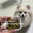 모쿠, 또모쿠 이미지