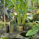 한원리경로당 | [제주] 웨스트그라운드 / 애플망고먹으러 제주도 온사람이 있다!? 과연 기대만큼 맛도 좋았을까요?