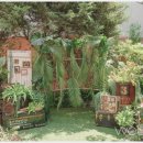 웨딩스토리 이미지