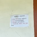 강아지랑고양이 이미지