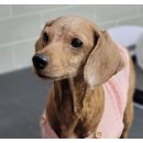 손의개농장 이미지