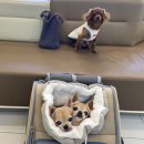 나인동물의료센터 이미지