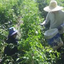 산성면사무소 이미지