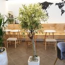 사림동288 이미지