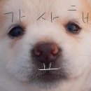 무의랑물회랑 - 중구 하나개로 9 | 무의랑물회랑