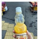 탑동산호전복 이미지