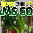 1529;남스커피