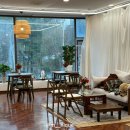 꼽슬이네 이미지