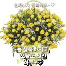 영화 시네마 천국 Love테마 이미지