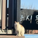 라 팡시옹 | 경주 숙소 추천 경주 펜션 라팡시옹(경주월드 근처 펜션)