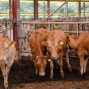 바로인공수정소 이미지