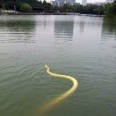 황금공원 이미지