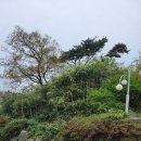 솔밭천수모텔 이미지