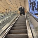 푸르지오아트홀 | 제3회 푸르지오아트홀 뮤직페스티벌 <The Blooming Youth> 클래식공연 관람 후기