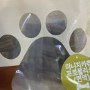 최애멍 | 우리 강아지의 최애 간식, 티멍 미니 치카츄! 추천과 후기