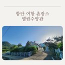 별천계곡 | 함안 여항 촌캉스 엘림수양관: 함안의 알프스 여항산 아래 완벽했던 대가족 힐링 휴가