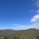 추월농장2 이미지