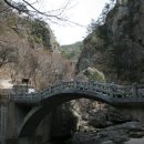 H9145 Daum카페