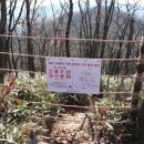 참새(황골공원) 이미지