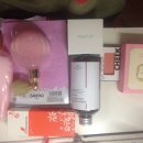 <b>헬렌박</b>, 파라팜, 삐아, 쌍빠